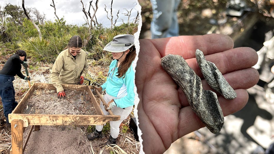 Ancient artifacts found beneath Cape Canaveral Space Force Station as one mystery still stumps researchers Accountants Canberra