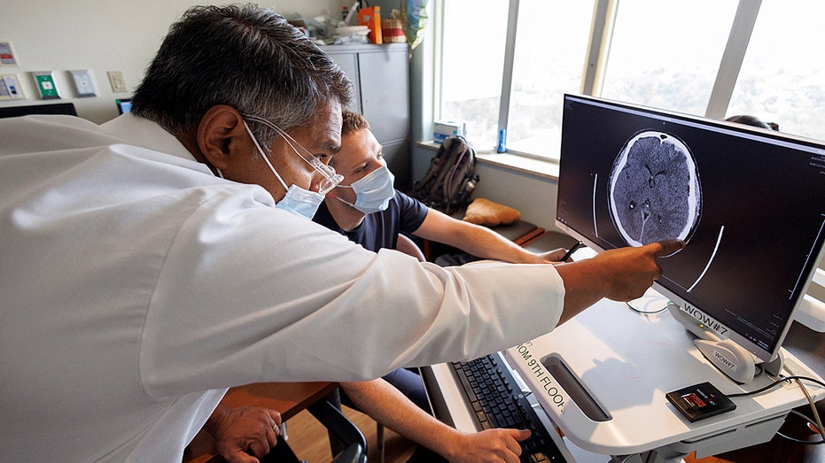 Grain-sized robot could change how doctors deliver drugs Accountants Canberra